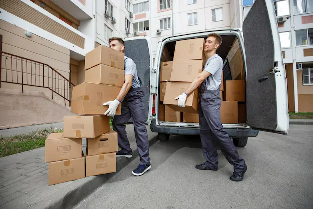 two movers move boxes